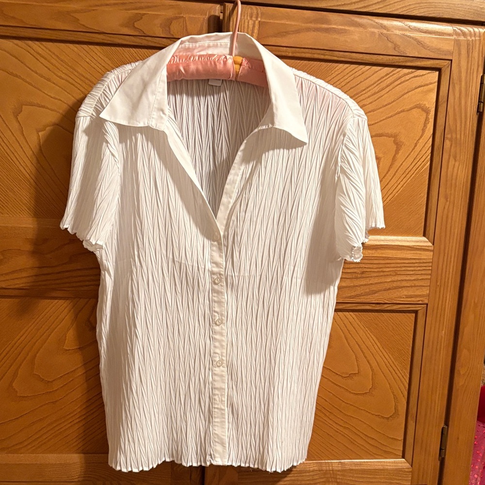 Dressbarn Cream Pleated Blouse